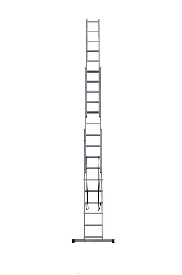 AL 310 (3)