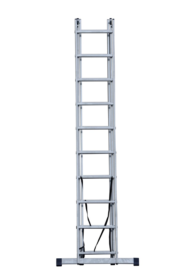 AL 310 (2)