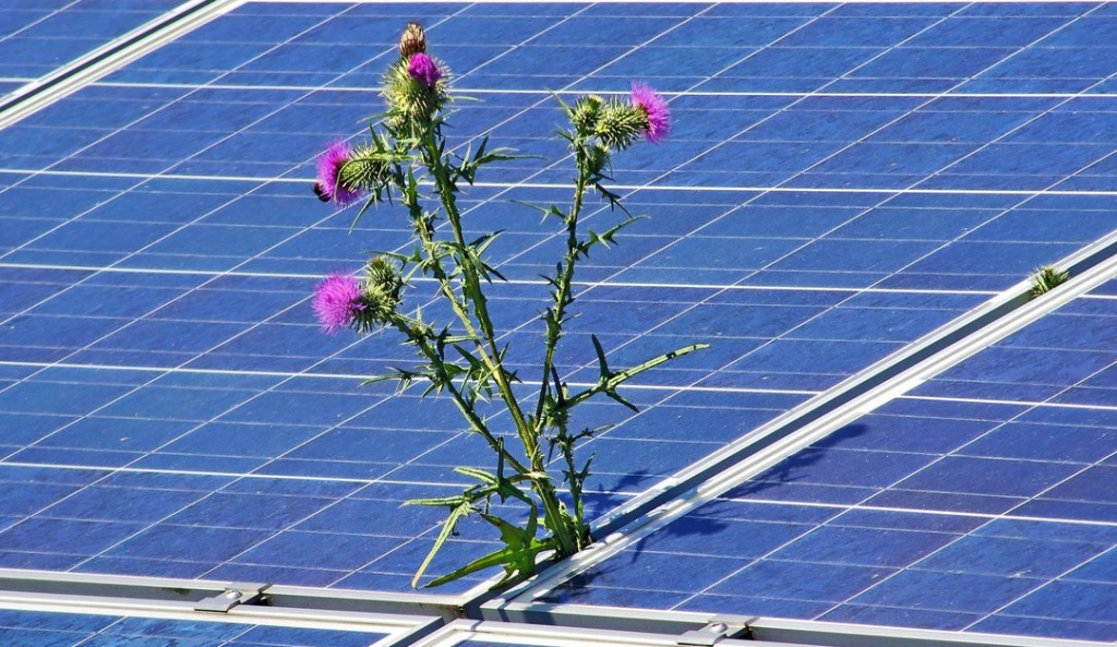 Имеет ли смысл заводить солнечные батареи (2).jpg