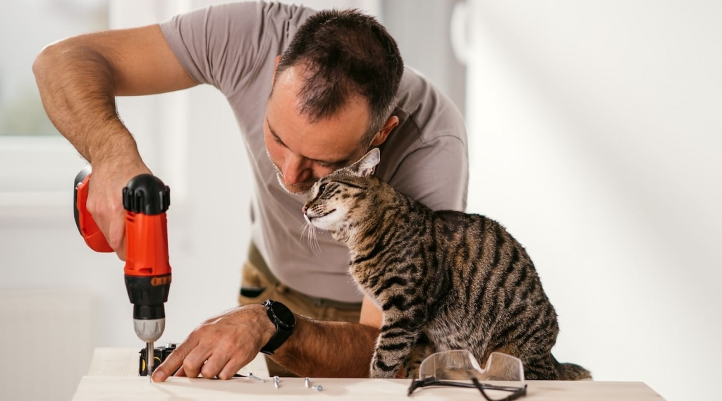 Ремонт и питомцы как сохранить рассудок и любовь хвостаты (4).jpg