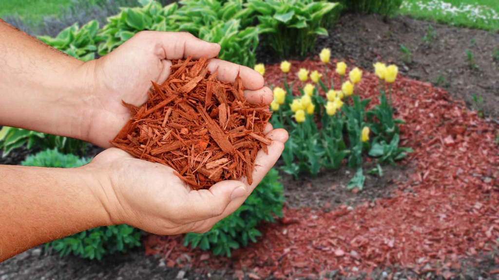 Mulching.jpg Mulching.jpg