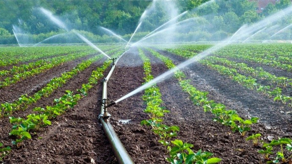 Орошение огорода методом дождевания.jpg