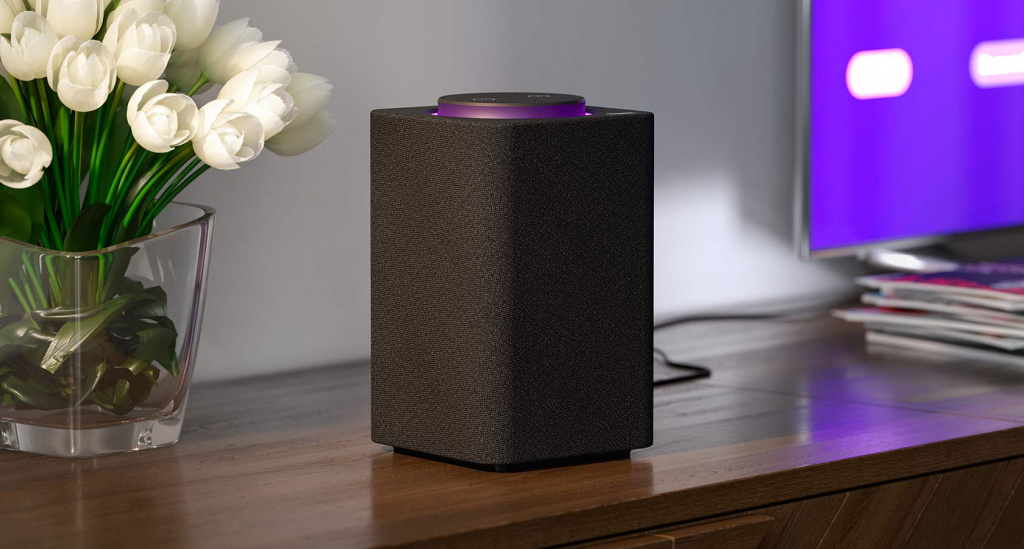 statya-pro-umnyj-doma-chi-sho (9).jpg